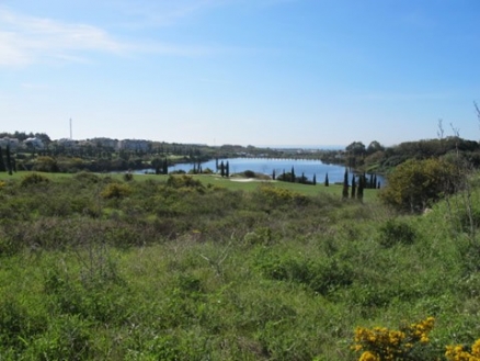 Los Flamingos property: Land for sale in Los Flamingos, Spain 114945