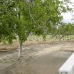 Onil property: Onil, Spain Villa 116031