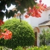 San&nbsp;Pedro&nbsp;de&nbsp;Alcantara&nbsp;property:&nbsp;&nbsp;Villa&nbsp;in&nbsp;Malaga&nbsp;116288