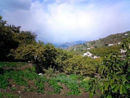 Torrox property: Malaga Villa 116379