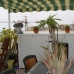 El Campello property:  Apartment in Alicante 116530