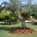 4 bedroom Villa in Malaga 116630