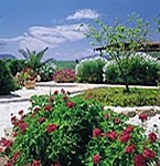 Alora&nbsp;property:&nbsp;Commercial&nbsp;in&nbsp;Malaga&nbsp;for&nbsp;sale&nbsp;117003