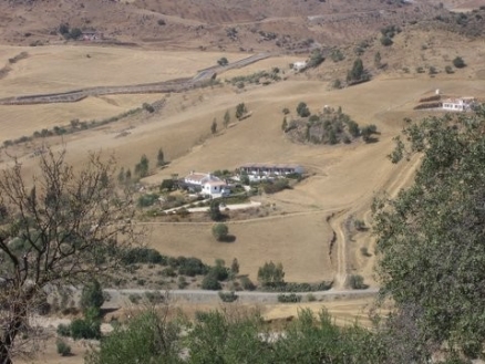 Alora&nbsp;property:&nbsp;Alora&nbsp;Commercial&nbsp;117003