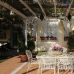 Beautiful Villa for sale in town 76072
