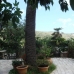 Canyelles property: Canyelles, Spain Farmhouse 76089