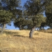 3 bedroom Farmhouse in town, Spain 76136