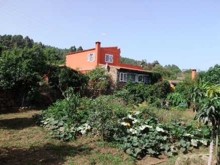 Farmhouse with 3 bedroom in town 76145