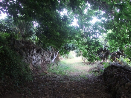 Farmhouse for sale in town, Tenerife 76145