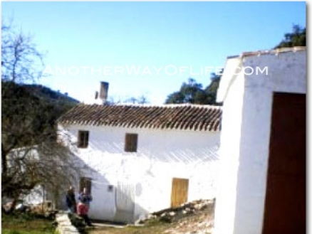Montefrio property: Farmhouse for sale in Montefrio 78347