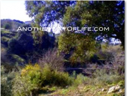 Montefrio property: Farmhouse with 4 bedroom in Montefrio 78347