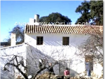 Montefrio property: Granada property | 4 bedroom Farmhouse 78347