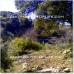 Montefrio property: 4 bedroom Farmhouse in Montefrio, Spain 78347