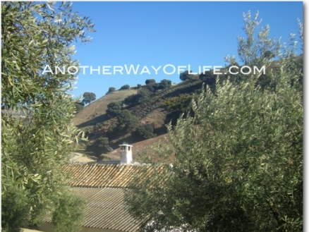 Loja property: Farmhouse for sale in Loja, Spain 78348