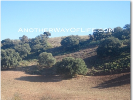 Loja property: Farmhouse with 4 bedroom in Loja 78348