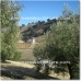 Loja property: Loja, Spain Farmhouse 78348