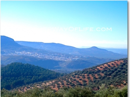 Rute property: Farmhouse for sale in Rute, Cordoba 78351