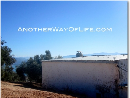 Rute property: Rute Farmhouse 78351