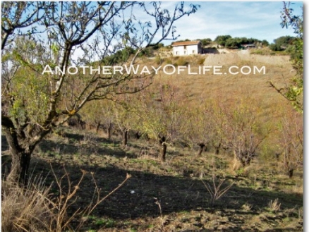 Alhama De Granada property: House for sale in Alhama De Granada, Granada 78353