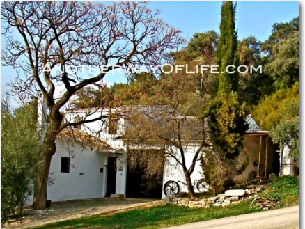 Villanueva De Algaidas property: Farmhouse for sale in Villanueva De Algaidas 78358