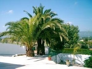 town, Spain | Villa for sale 79753