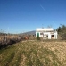 Pinoso property: Pinoso, Spain House 79759