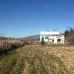 Pinoso property: Pinoso, Spain House 79759