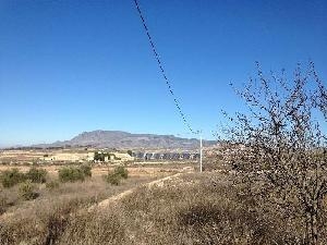 Jumilla property: Land in Murcia for sale 79761