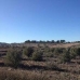 Jumilla property: Jumilla, Spain Land 79761