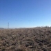 Jumilla property: bedroom Land in Jumilla, Spain 79761