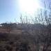Jumilla property: Land in Murcia 79761