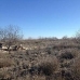Jumilla property: bedroom Land in Murcia 79761