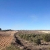 Jumilla property: Murcia Land, Spain 79761