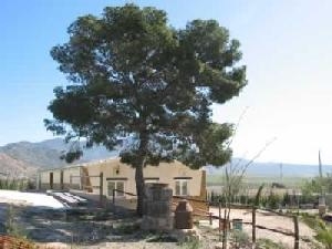 Jumilla property: Villa with 2 bedroom in Jumilla 79762