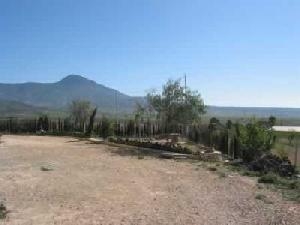 Jumilla property: Villa in Murcia for sale 79762