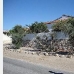 Arboleas property: Arboleas Villa, Spain 79763
