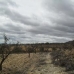 Jumilla property: Murcia, Spain Land 79766