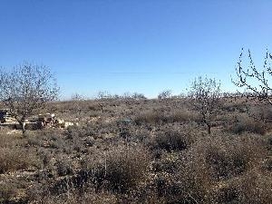 Jumilla property: Land for sale in Jumilla 79767