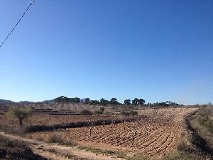 Jumilla property: Land with bedroom in Jumilla, Spain 79767