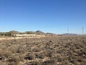 Jumilla property: Murcia property | bedroom Land 79767