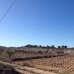 Jumilla property: bedroom Land in Murcia 79767