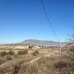 Jumilla property: Land in Jumilla 79767