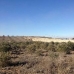 Jumilla property: Beautiful Land for sale in Jumilla 79767