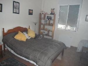 Sax property: Villa in Alicante for sale 79768