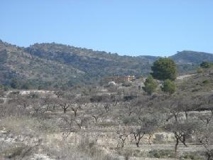 Elda property: Land with bedroom in Elda 79778