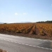 Pinoso property: 6 bedroom House in Pinoso, Spain 79788