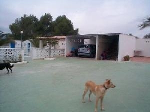 Salinas property: Villa in Alicante for sale 79791