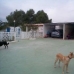 Salinas property: Villa in Salinas 79791