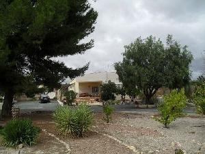 Sax property: Villa in Alicante for sale 79794