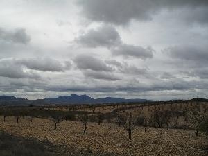 Jumilla property: Land for sale in Jumilla, Spain 79795